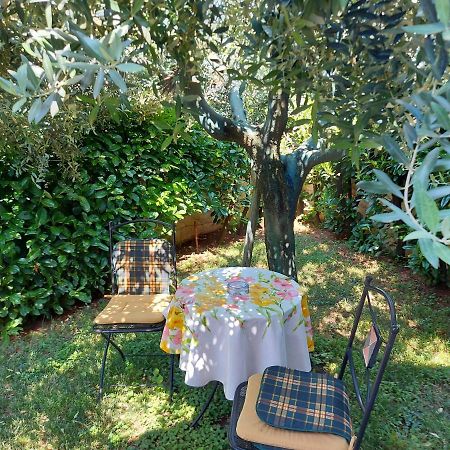 Appartamento Alida Umag Exterior foto