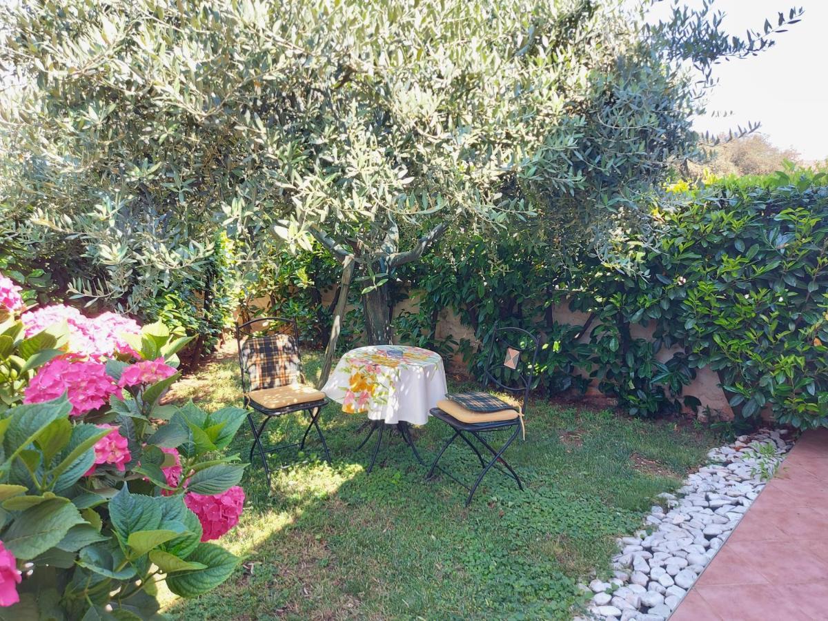 Appartamento Alida Umag Exterior foto