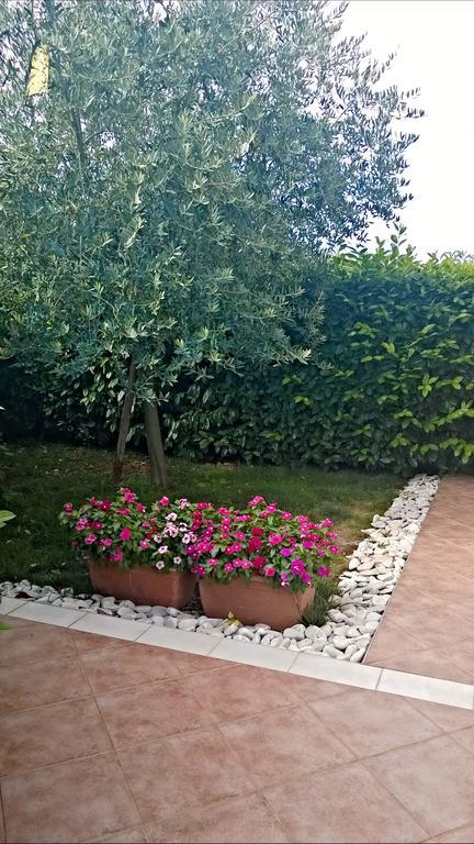 Appartamento Alida Umag Zimmer foto